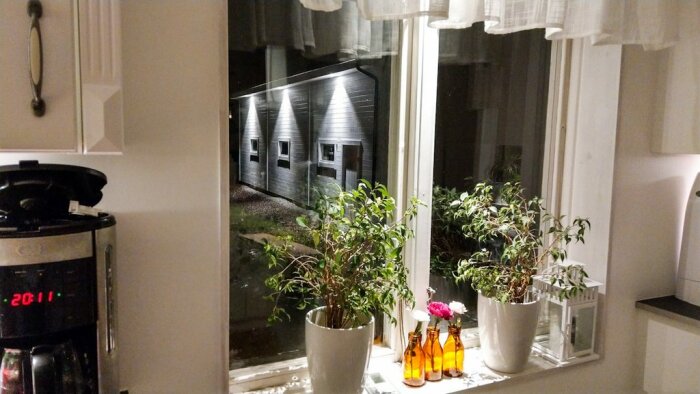 Kök med fönster, växter på fönsterbräda, utsikt mot byggnader om natten, kaffebryggare med digital klocka.