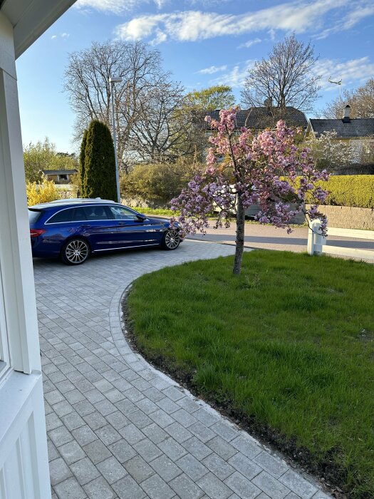 Blå bil parkerad vid hus, blommande träd, soligt väder, grön gräsmatta, stenlagd gångväg.