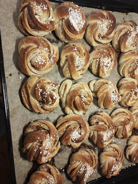 Nybakade kanelbullar med pärlsocker på bakplåtspapper.