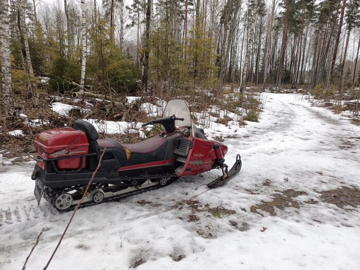 Röd snöskoter parkerad på snötäckt mark med smältande snö och skog i bakgrunden.