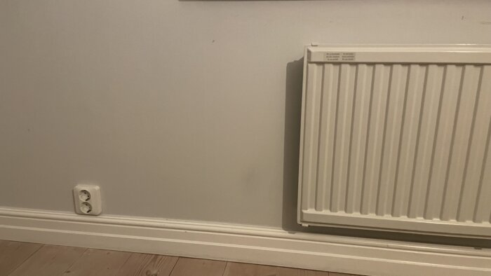 Vägg, element, golv, eluttag, lister. Neutralt rumshörn med minimalistisk stil och ljust färgschema.