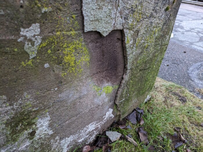 Bild på en sprucken betongpelare med mossa och löv vid foten. Nedslitet och gammalt. Utomhus nära väg.