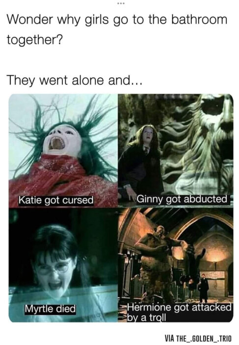 Meme med karaktärer från Harry Potter som skämtsamt förklarar varför tjejer går på toaletten tillsammans för säkerhet.