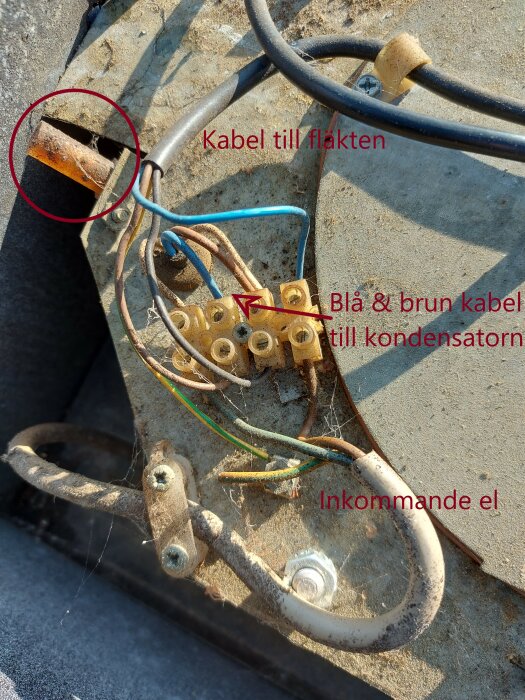 Elektrisk anslutningstavla med etiketterade kablar, rost, och spindelnät. Utomhus, slitet tillstånd, åldringstecken synliga.