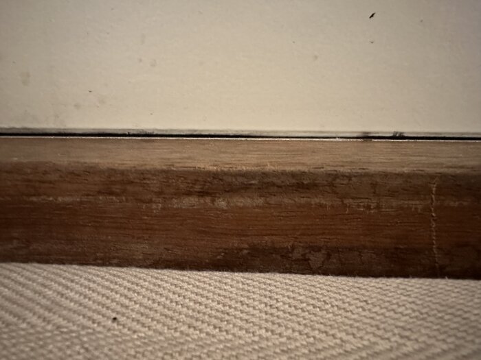 Rödbrun list mot en vit vägg ovanför en beige textilmatta.