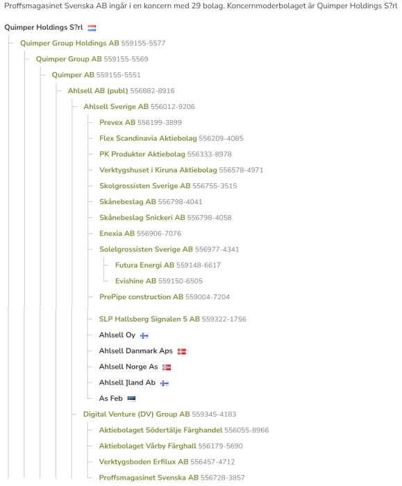 Skärmdump av ett företags koncernstruktur med flera dotterbolag listade hierarkiskt.