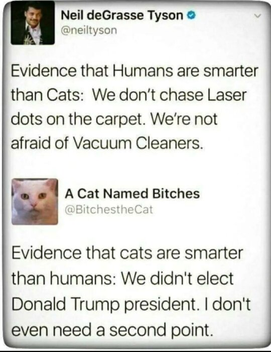Skärmdump av en humoristisk Twitter-konversation om intelligens jämförelse mellan människor och katter.