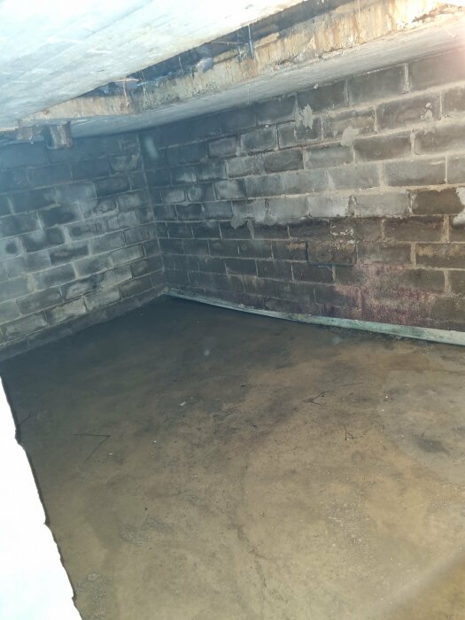 Öppning i ett garagegolv som leder till en tom betonggrundning under, med vattenansamling på golvet.