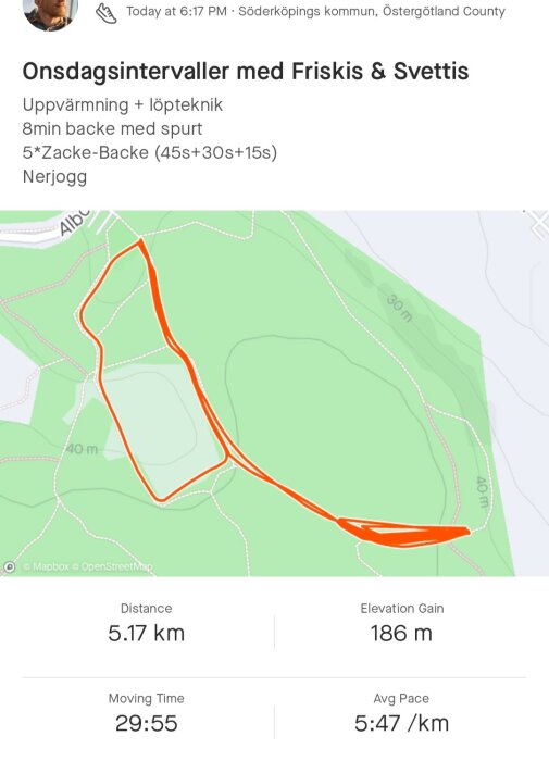Skärmdump av löpardistanskarta med 5,17 km rutt och löptidsstatistik på en träningsapp.