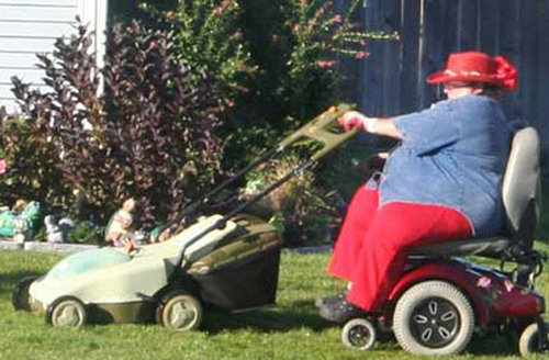 Rascal-Mower.jpg