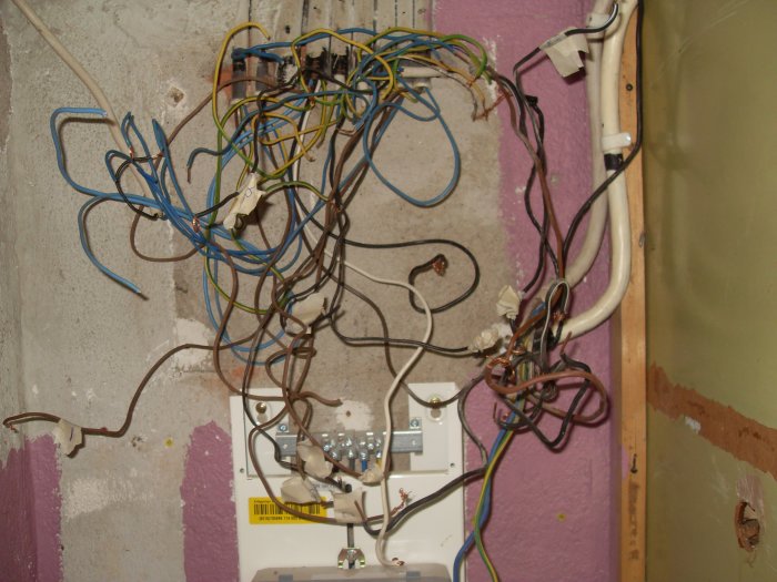 SDC11302.jpg
