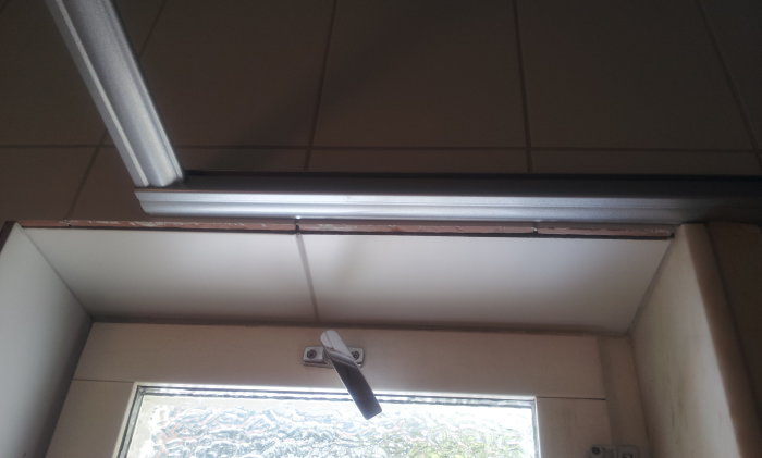 20130729_105250.jpg