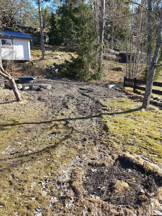 En lantlig trädgård med lerig stig, grönt gräs, träd och en liten byggnad i bakgrunden, dagtid och soligt väder.