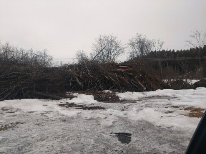 Stor hög med grenar och träd som ska användas för vedförsäljning, på en snöig mark.