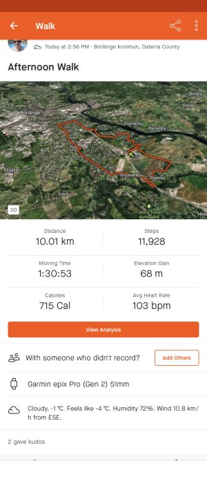 Satellitbild av promenadrutt markerad med röd linje i Borlänge med statistik över distans, steg och kaloriförbrukning.