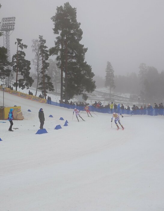 Längdskidåkare tävlar i dimmigt väder med publik och snötäckt skog i bakgrunden.