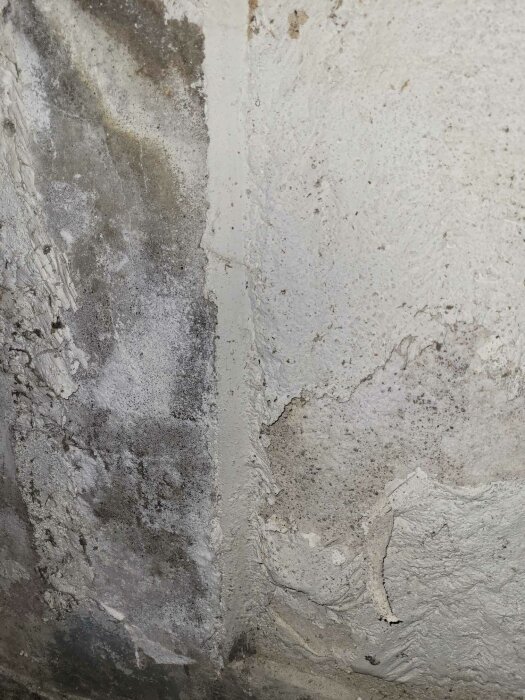 Vägg med flagnande färg och putssläpp visande dammigt pulver och avskalade områden, tecken på fuktproblem.