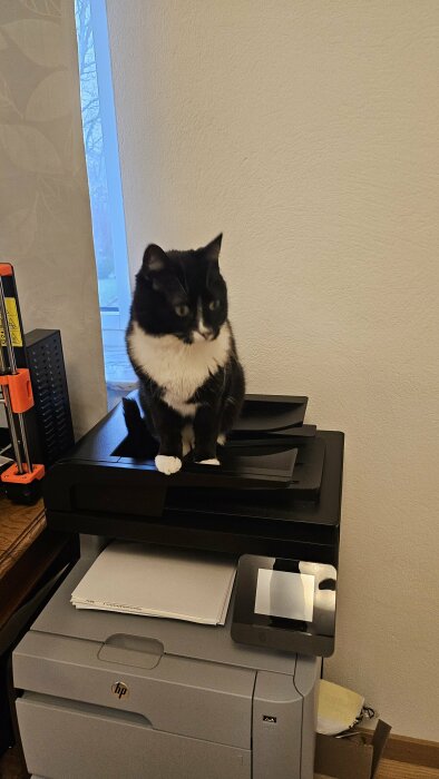 Svartvit katt sittande på en skrivare i ett hemmakontor.
