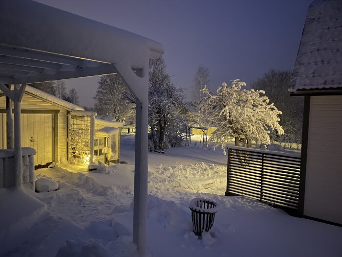 Vinterlandskap vid skymning med snötyngda träd, en belysningens carport och snötäckt mark.