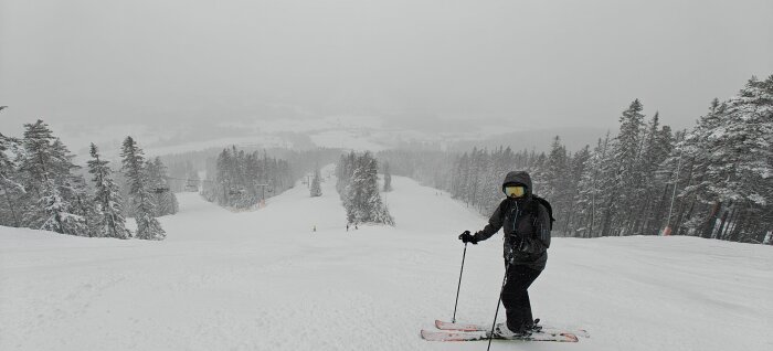 Åkare med goggles står på snötäckt skidbacke bland snöklädda träd och dimma.