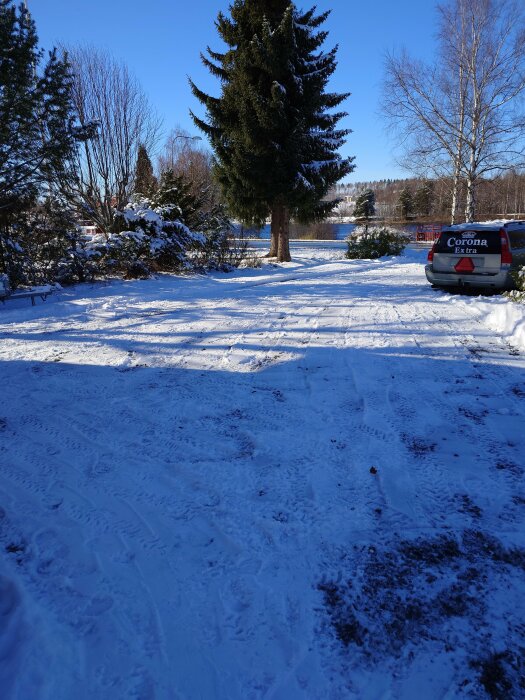 Solig vinterbild av en uppfart med hjulspår i snön, träd i bakgrunden och en parkerad bil.