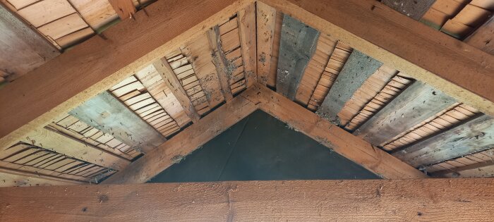 Tittar upp i en renoverad vind med exponerade träbjälkar och avlägsnat innertak, vilket avslöjar husets takstol.