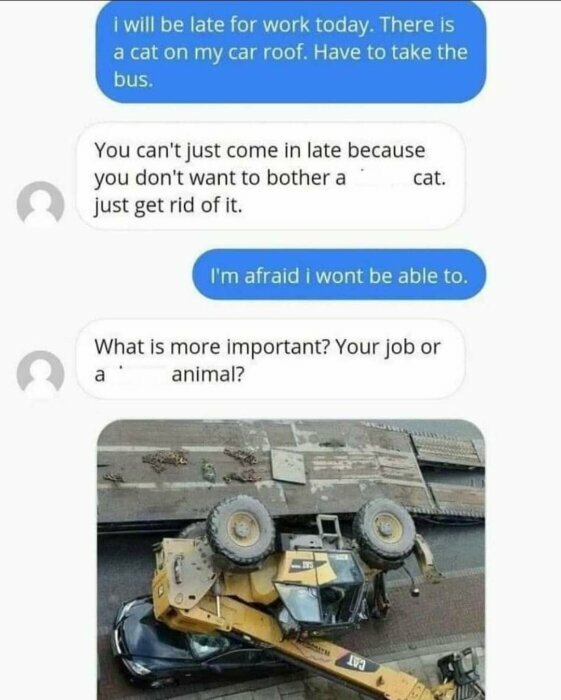 Humoristisk textkonversation och bild på en bil krossad under en grävmaskin, skämtar om att ta bort en katt från taket.