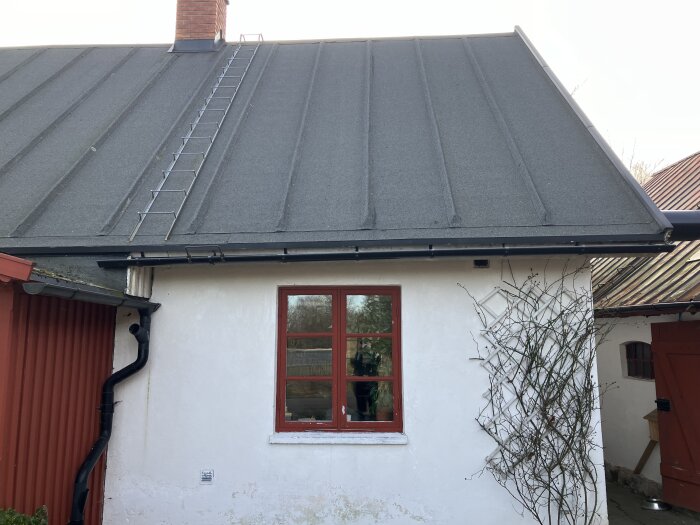 Tak med grå takpannor, takstege och takränna som hänger ner över en vit husfasad med rött fönster.