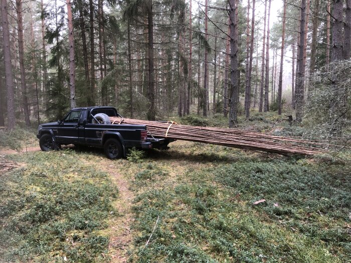 Svart pickup med lastflak fullt av långa träbjälkar i en skogsmiljö.