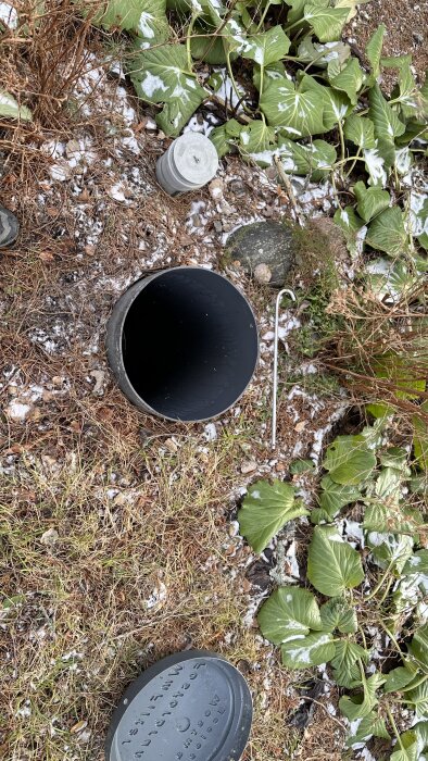 Öppen fosforbrunn från Wostman Ecology med synligt rör, omgiven av växter och snöfläckar.