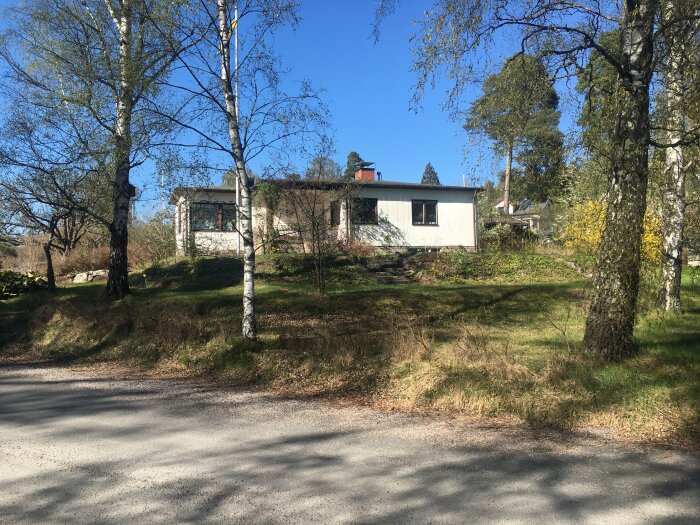 Vit villa med tegeltak bakom björkar sedd från en grusväg på en solig dag.