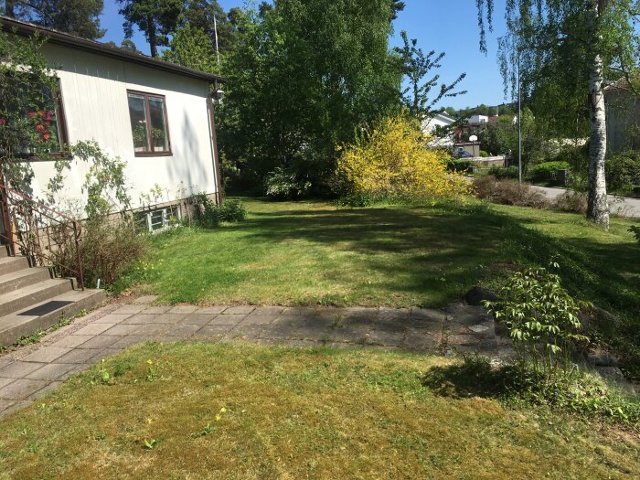 Trädgård framför vit villa med gräsmatta, blommande buskar och stenlagd gång på en solig dag.