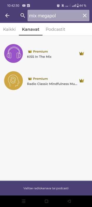 Skärmdump av en radiostreamingtjänst med kanalerna "KISS In The Mix" och "Radio Classic Mindfulness Music" markerade som Premium.