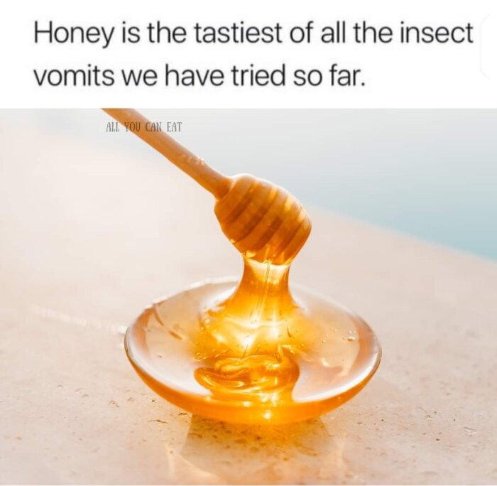 Honung droppar från en honungssked ner på en yta med texten "Honey is the tastiest of all the insect vomits we have tried so far".