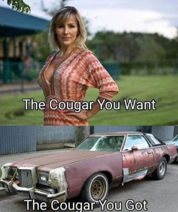 Övre delen: Kvinnan poserar bredvid texten "The Cougar You Want". Nedre delen: Skadad gammal bil och text "The Cougar You Got".