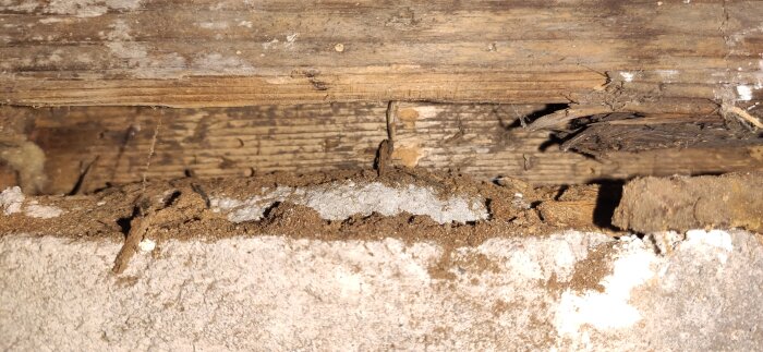 Slitna och skadade träsyllar i en källare med tecken på röta och fukt, behov av renovering synligt.