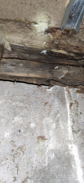 Skadade och fuktiga träsyllar i källare mot en betonggrund, tecken på röta och mögel.