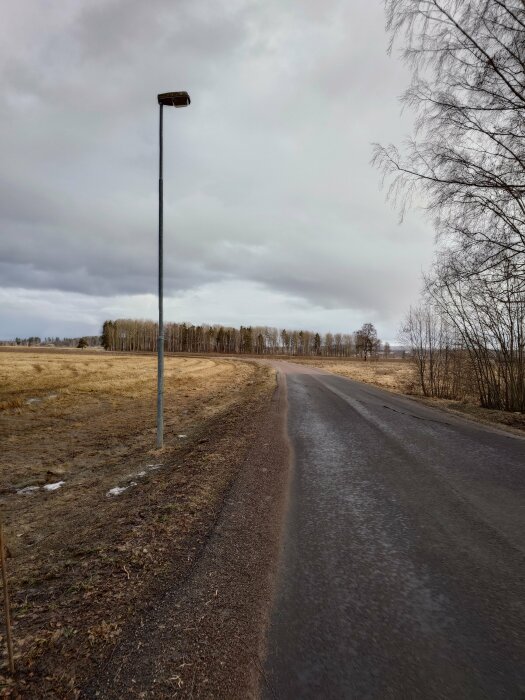 En landsväg med en gatlykta vid sidan, omgiven av ett brunt fält och bar träd silhuett mot molnig himmel.