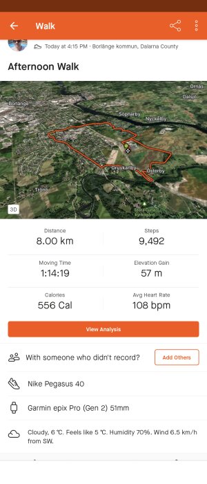 Skärmbild av träningsapp som visar eftermiddagspromenad på 8 km i Borlänge med kartvy, steg, och träningsdata.