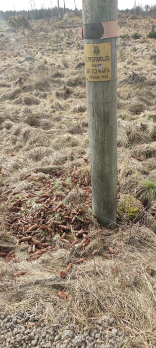 Ett varningsskylt på en trästolpe med texten "LIVSFARLIG LEDNING. GÅ EJ NÄRA nedfallen träd." i ett öde fält.
