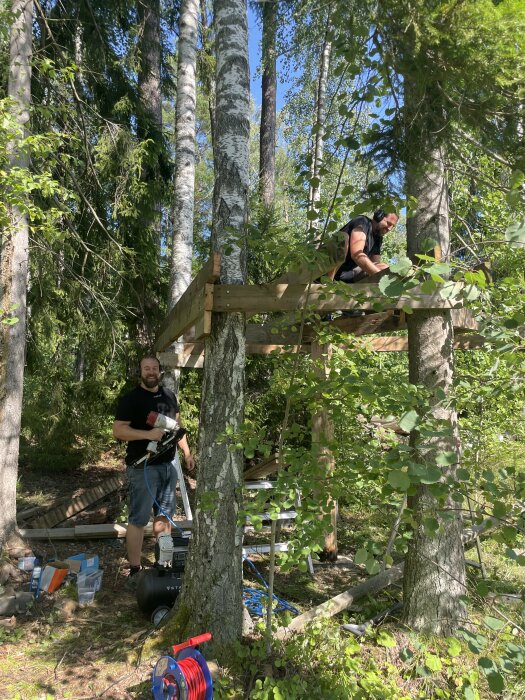 Trädkoja under konstruktion i björkar och gran, personer bygger på träplattform, skogsmiljö.