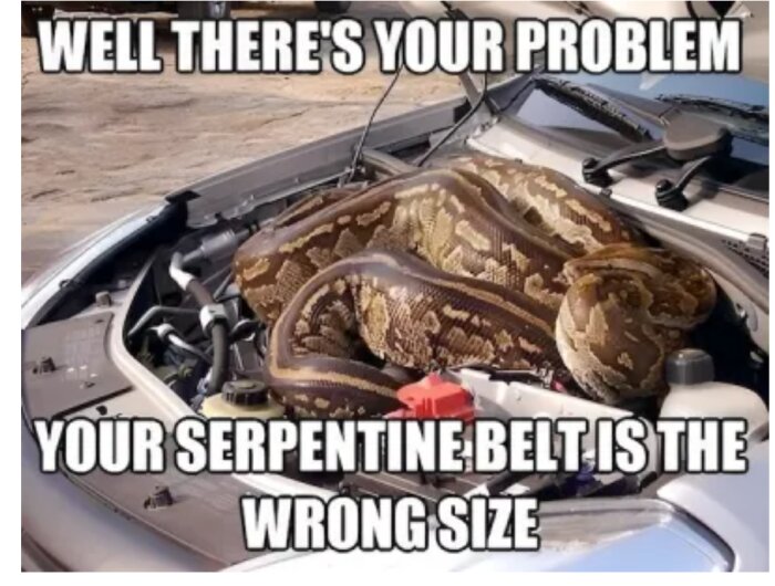 En stor orm ligger hopkurad över en bil motor med texten "Your serpentine belt is the wrong size".