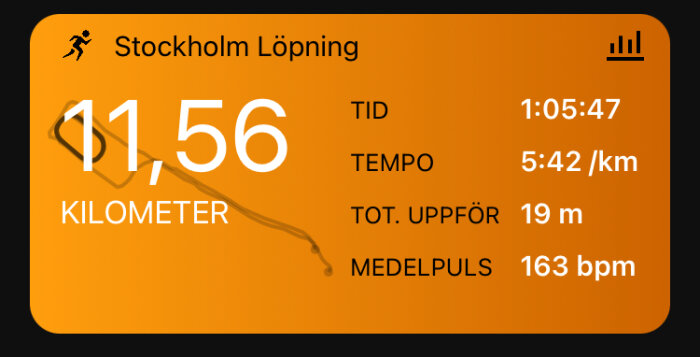 Skärmdump av löparapp med statistik: 11,56 kilometer, tid 1:05:47, tempo 5:42/km, total uppför 19 m, medelpuls 163 bpm.