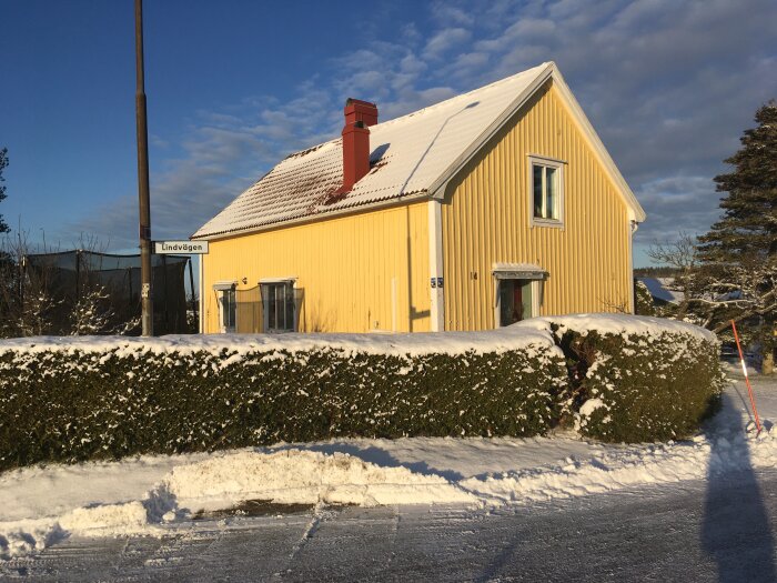 Gulmålat trähus med snö på taket och en häck framför under vintern.