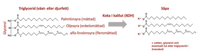 Schematisk bild som visar kemisk omvandling från triglycerid till såpa med exempel på fettsyror.