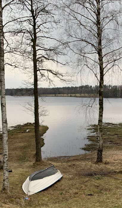 Utsikt över en sjötillgång vid en stuga, omgiven av lövträd, med en upp-och-nervänd båt på gräskanten.