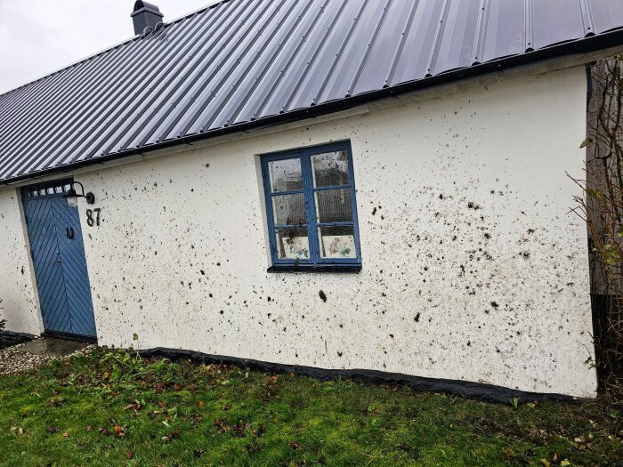 Husvägg med lerstänk och en skadad gräsmatta framför, på grund av lastbilar nära väg.