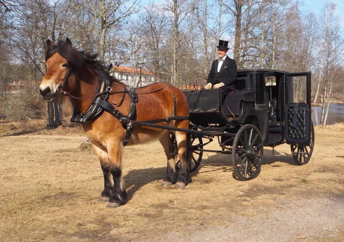 Häst drar en gammaldags vagn med kusk i hög hatt på en grusväg.