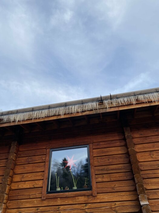 Timmerstugasida med fönster och lutande torvtak med överhängande istappar under en vinterdag.