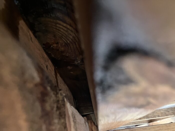 Närbild som visar vattenränningsmärken på trävindskivor under ett takutsprång.